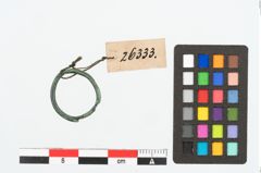 Foto von Bronzering (NHMW-PRAE-026333)